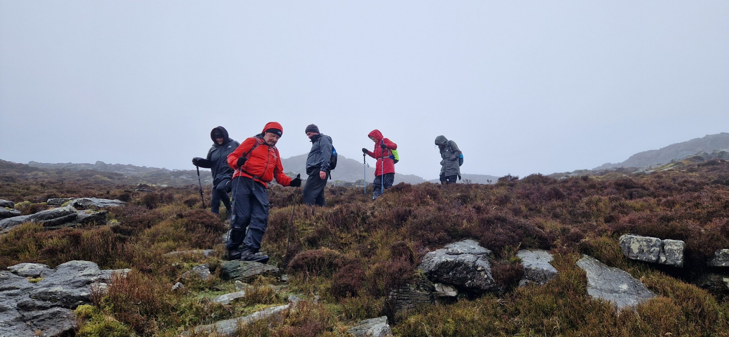 May be an image of 5 people