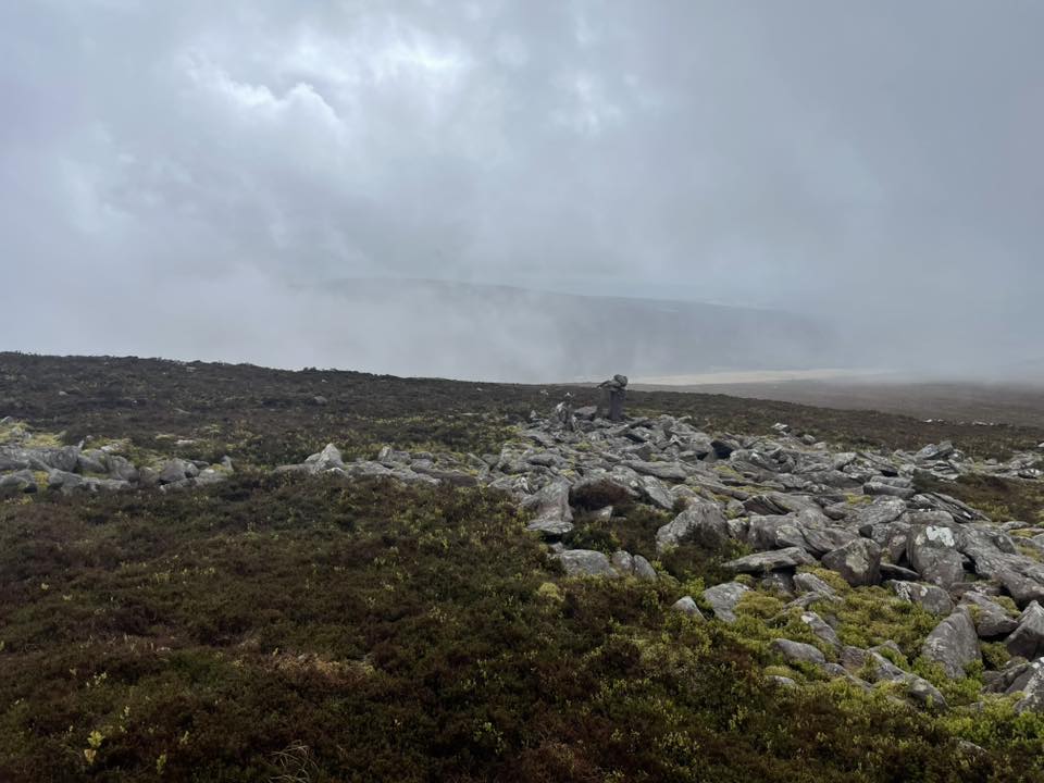 No photo description available.