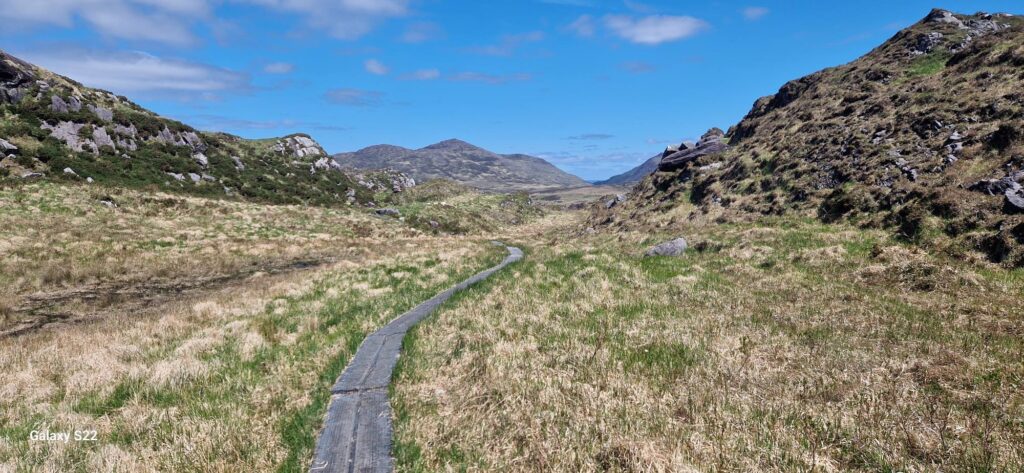 May be an image of nature and grass