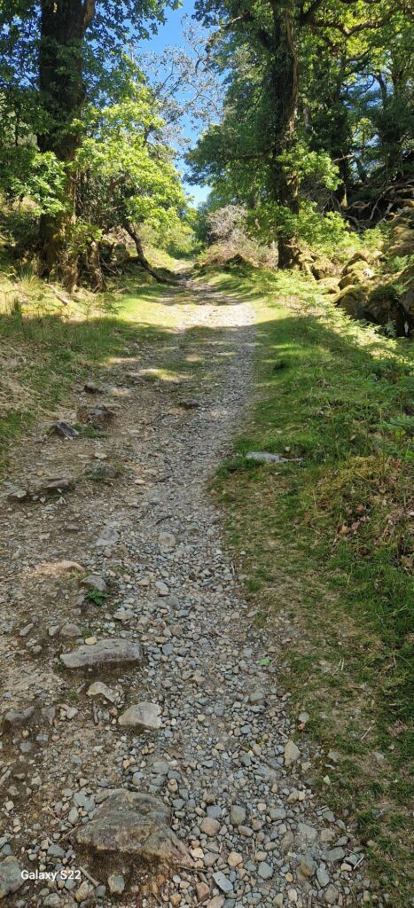 No photo description available.